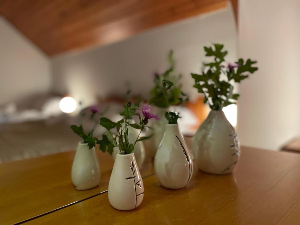 Apartma As ポドチェトルテク エクステリア 写真